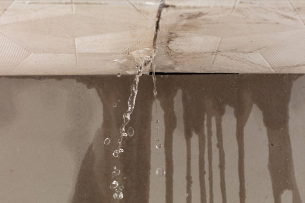 Professional Structural Drying technician working in Mount Calm, TX
